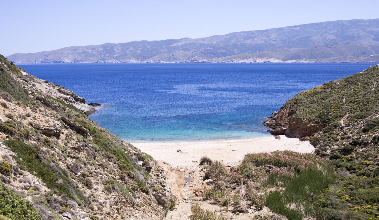 Artemidi 320.000sqm